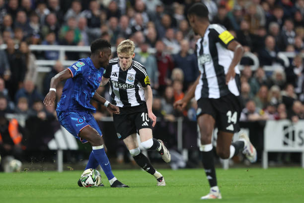 库卢不仅仅 库卢不仅仅