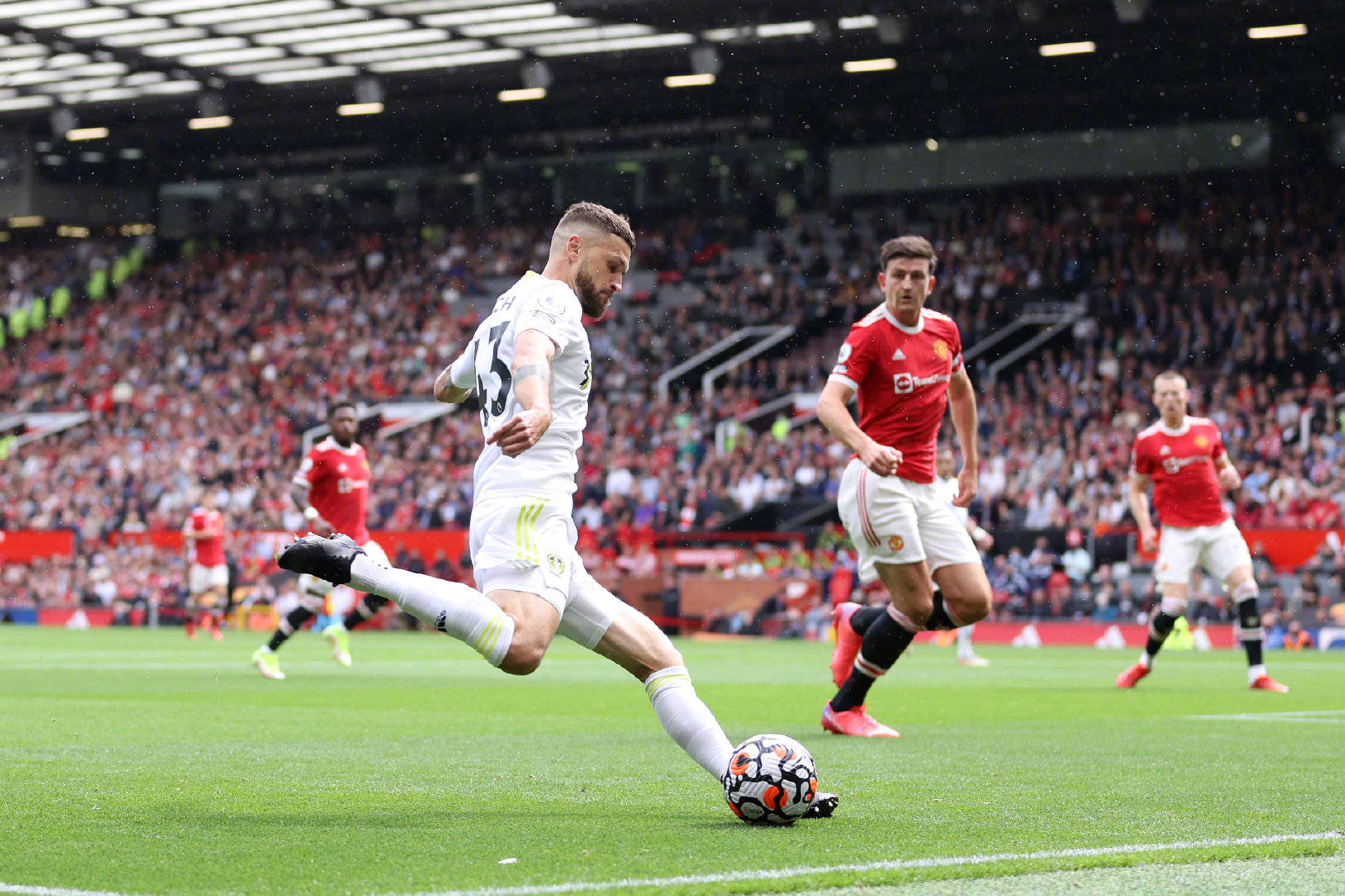 它不仅是对 它不仅是对